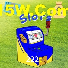 222t.com